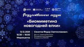 Рождественские лекции — 2024. Фёдор Сенатов: «Биомиметика новогодней ёлки»