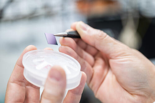 Образец сенсора